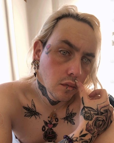 Wasp star best archive