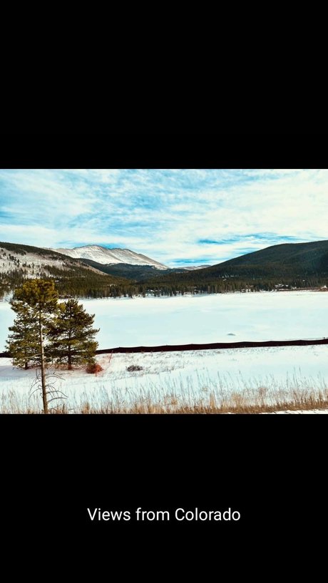 Sheldon Bucknor model art gallery