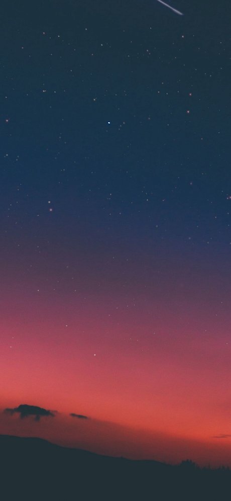 Tyler Choosen art model photos