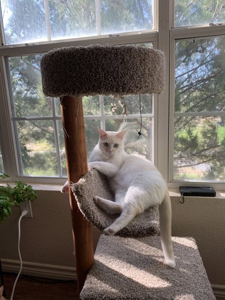 Cosplayer model perfect picture