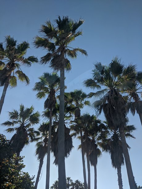 Laetitia_ star xxx galleries