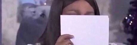 u85894571 star free photo