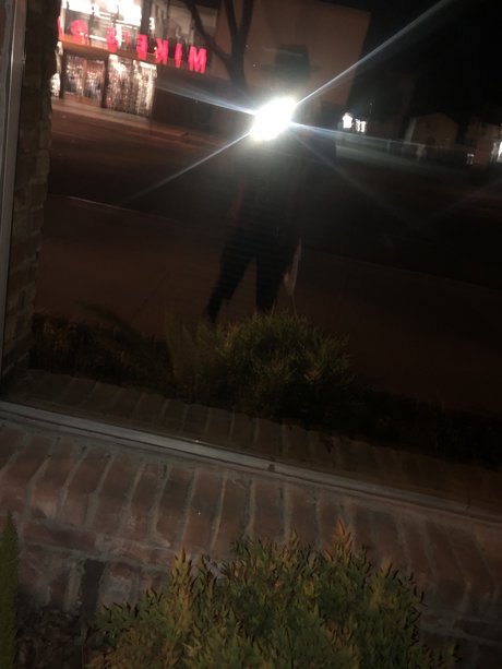 Charlie king model photos