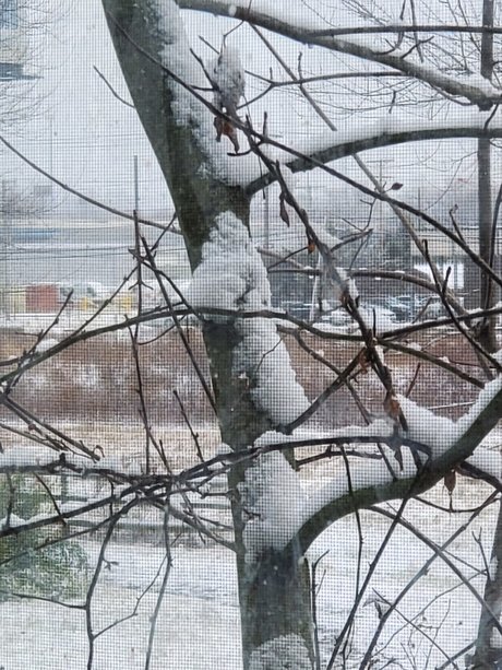 Norway erotic star img