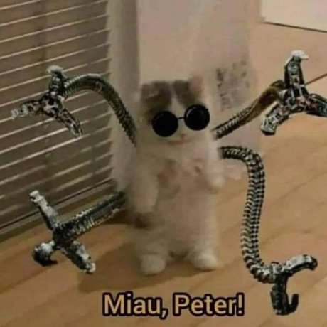 u63856170 best pornstar image