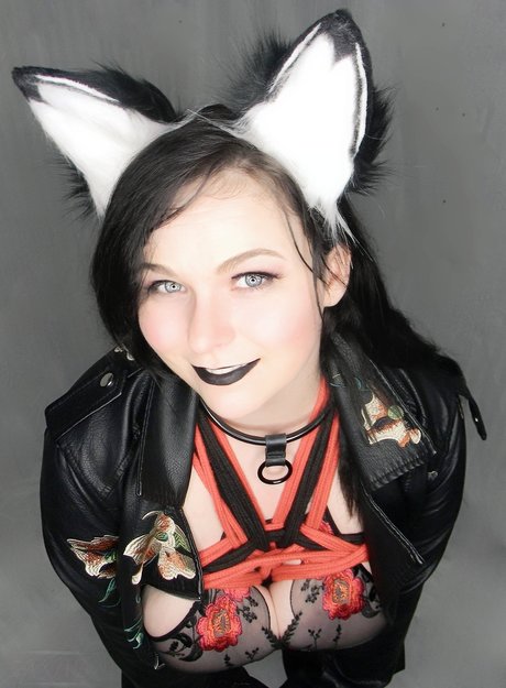 Hellfox star top pictures