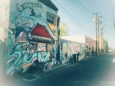 Lalo O sexy pornstar image