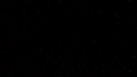 WV Babe pornographic star images