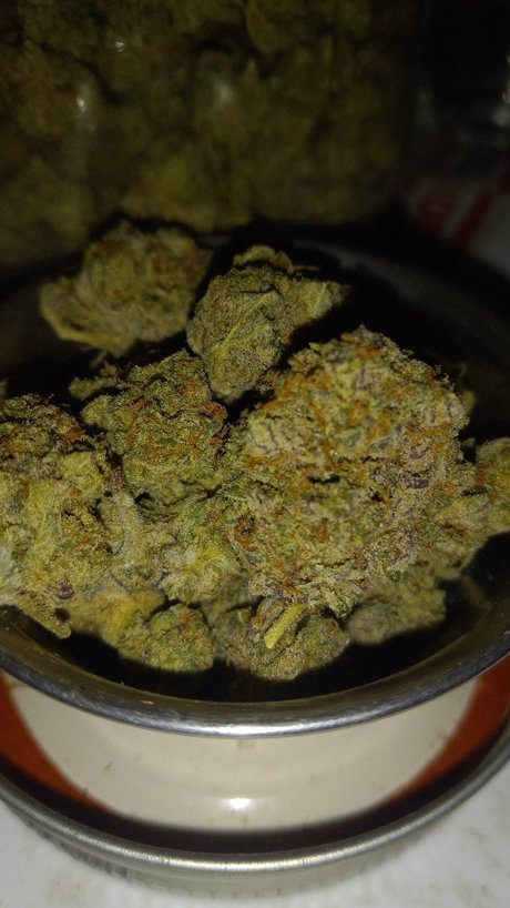 Donalddigbick sex star pic