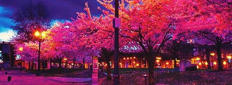 Duncan CM star nudes pic