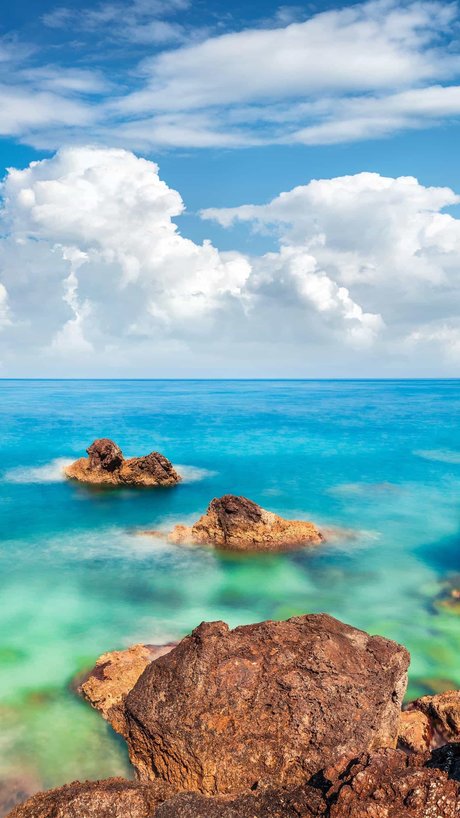 TotoBear erotic star pic