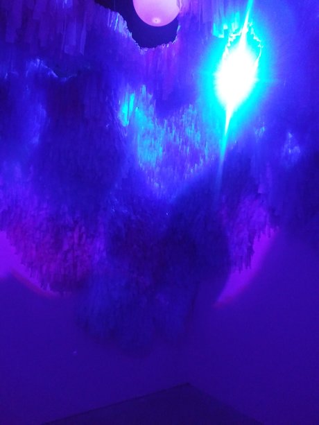 Dakawaiiest Alien star photo