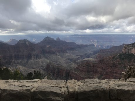 Madame Mousey pornographic model galleries