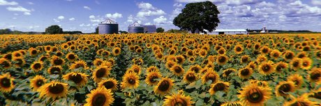 makenzie_ hot actress picture