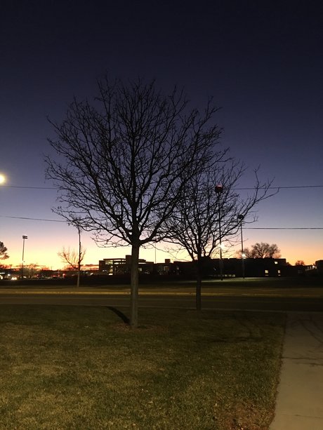 Aloys Yeh pornstar naked archive