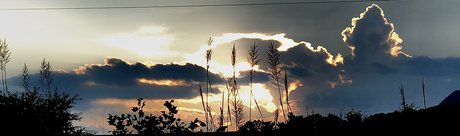 Matt Hollander art star image