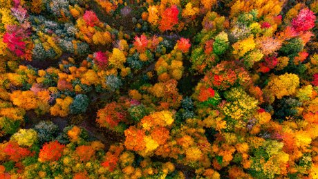 The Couple Next Door erotic pornstar pics