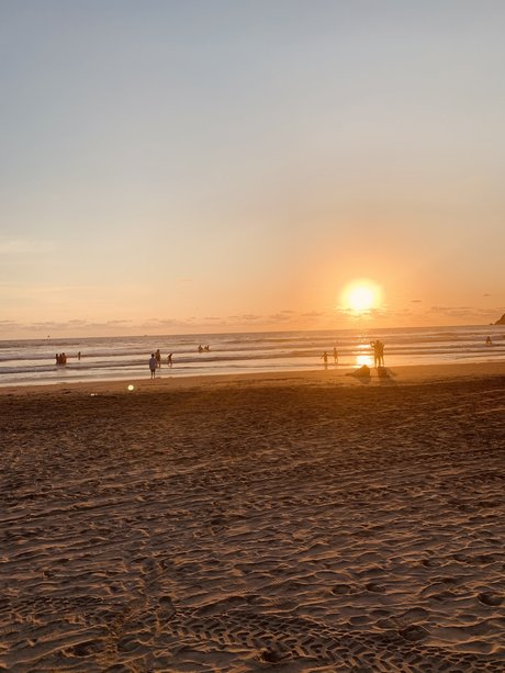 PamegaMex1 pornographic model pic