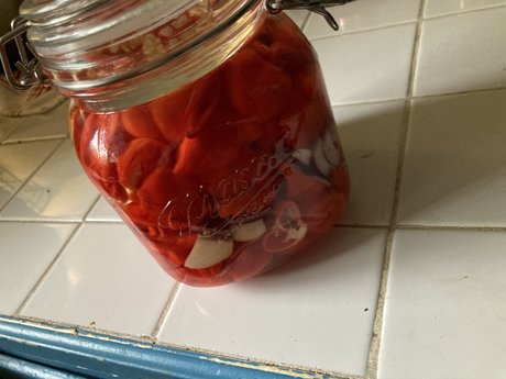 GingerRoot model porn picture