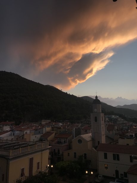 mfrisella top star photos