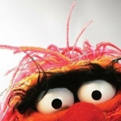 Trebor 16 free star images