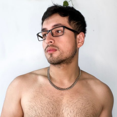 Einyel Quest model perfect picture