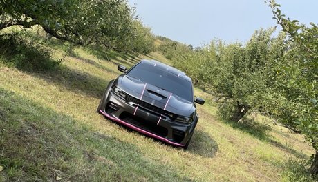 Jon VIP_ model perfect picture