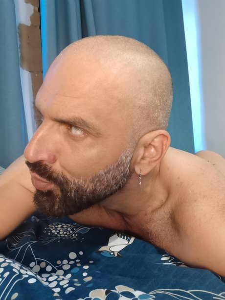 Versalion star gallery