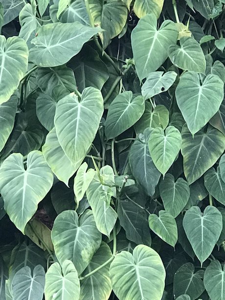 Tiger Scott beautiful actress galleries