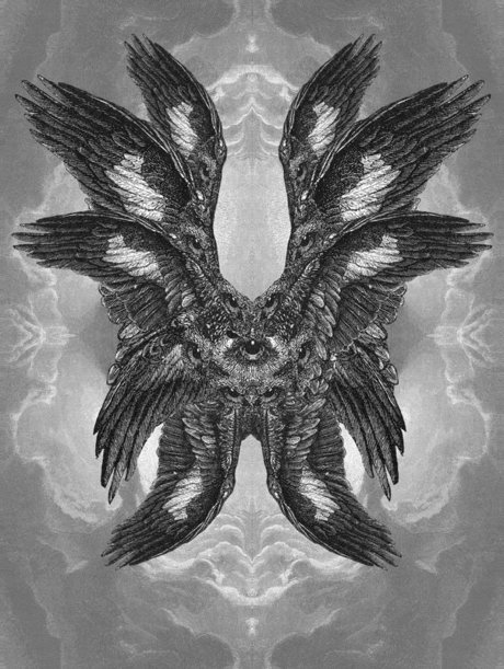 2shytodie star beautiful img