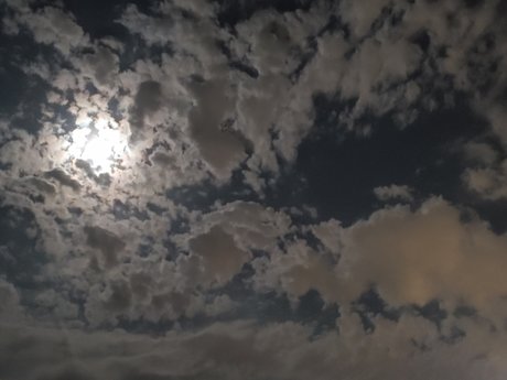 LittleD adult actress pics