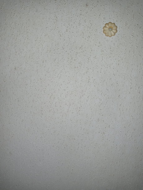 Naughtywill hd model pictures