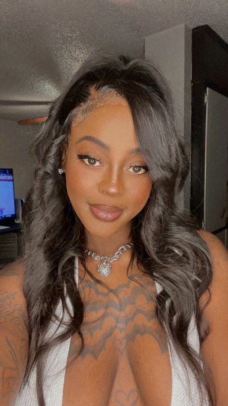 Nanoo_ best model archive