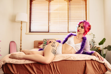 Nova Zone model nice archive