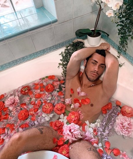 Ettore free star pics