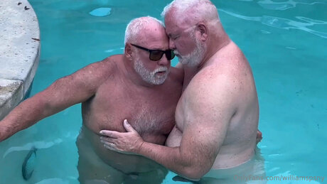 Williamspsny model perfect img