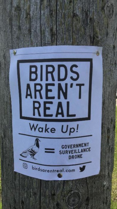 Max Pain nudes actress pic