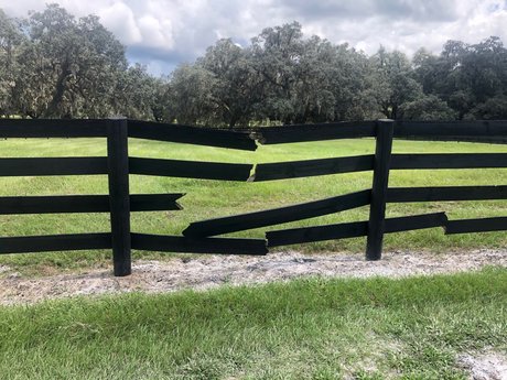 MACAROOT MIKE S BJS FREE pornstar high quality photo