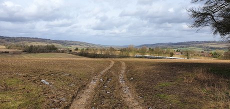 Oli Jason pornstar hd picture