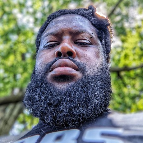 losgryfog star beautiful galleries