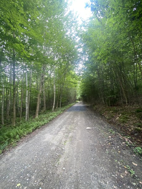 Heroe perdido9 pornstar naked images