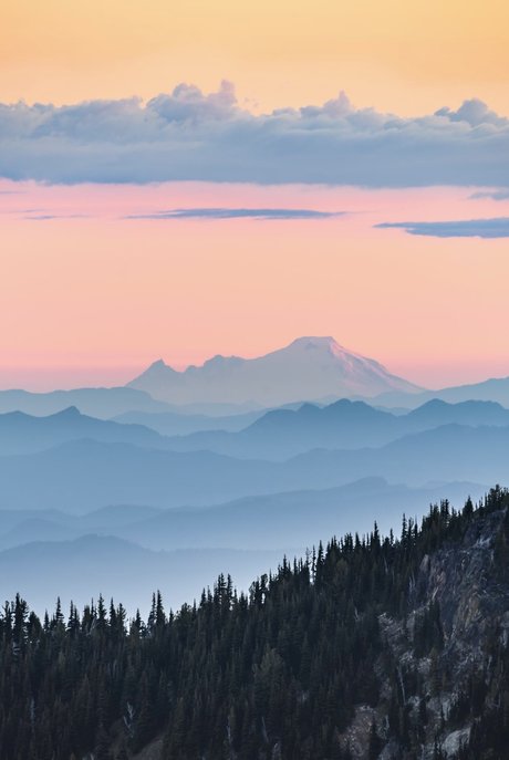 Sunni Daze star pretty images