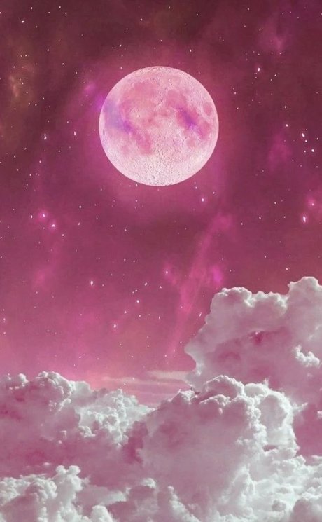 The Best hot adult star images