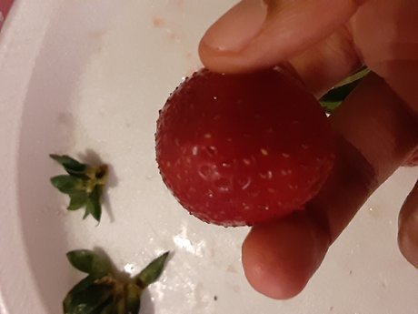 Tha Fat Goddess star naked image