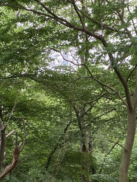 UncutNYC star sex photo