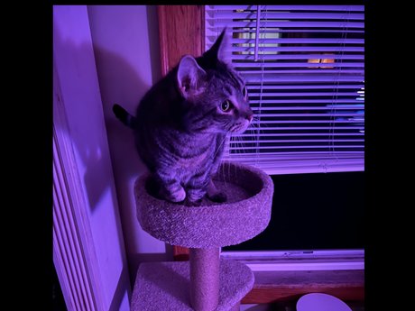 Timelordgwp xxx star photo