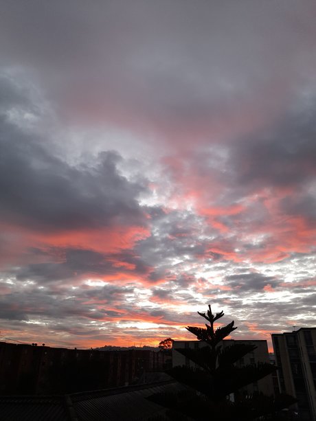 Danielaaa pornstar top archive