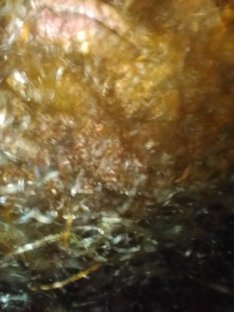 Keychawn xxx star image