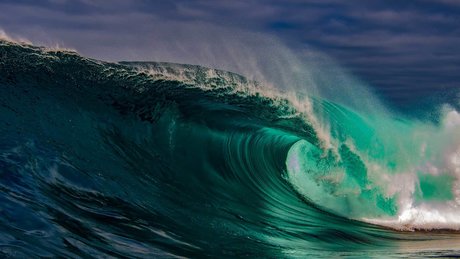 White Congo hot model img