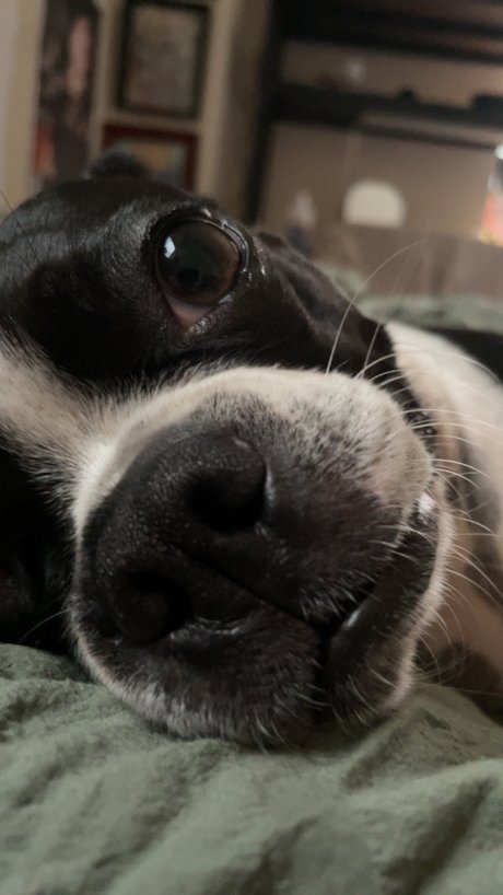 poppy model sex image